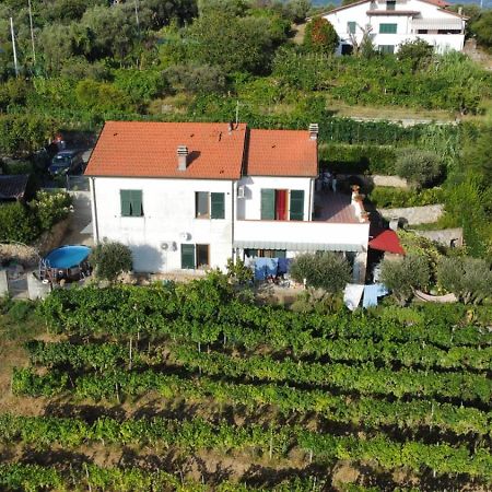 In Vino Veritas Arcola Εξωτερικό φωτογραφία