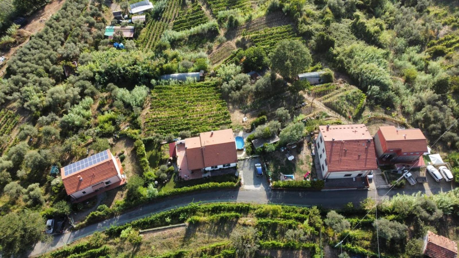 In Vino Veritas Arcola Εξωτερικό φωτογραφία